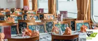 Navire de croisière à vendre