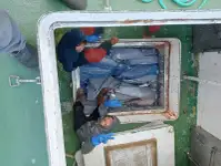 Chalutier à vendre
