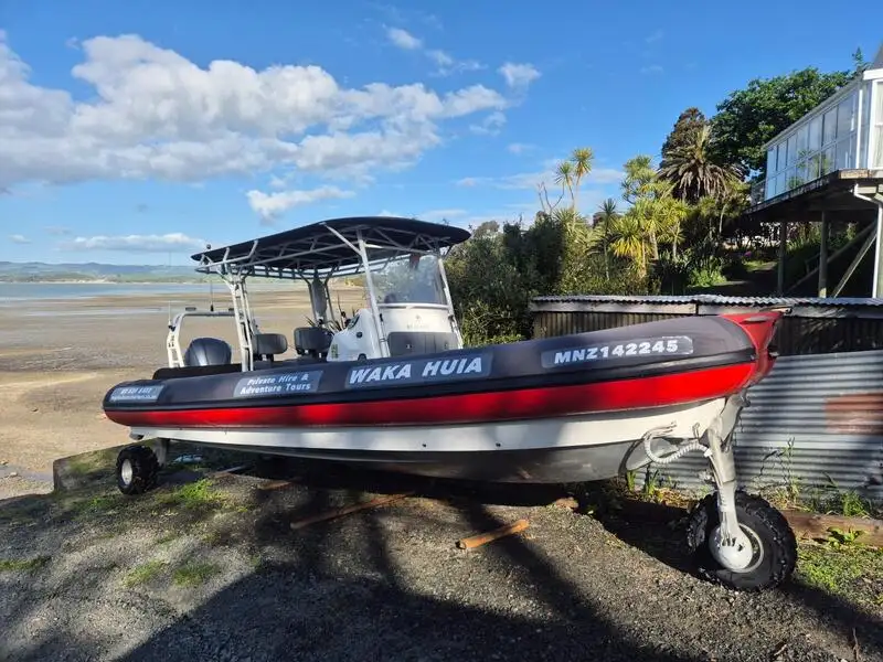 Amphibie à vendre