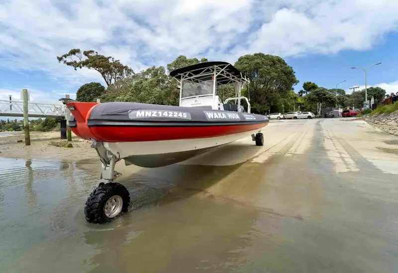 Amphibie à vendre