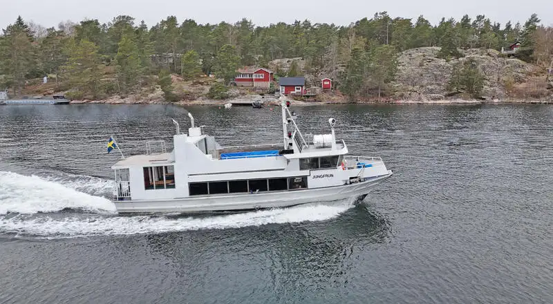 Bateau à moteur à vendre