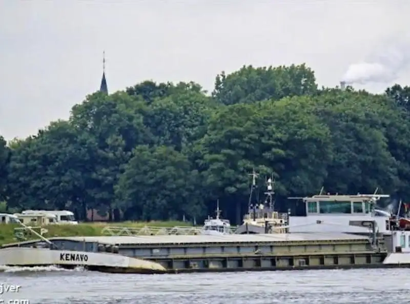 Vraquier à vendre