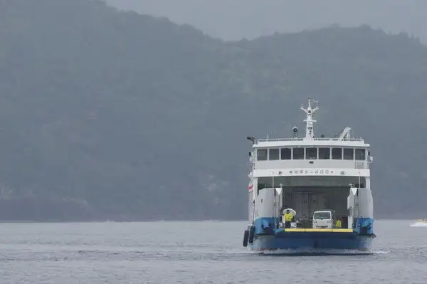 Navire RORO à vendre