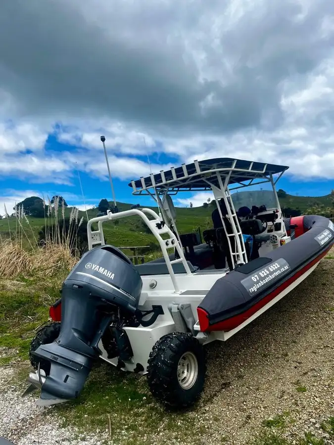 Amphibie à vendre