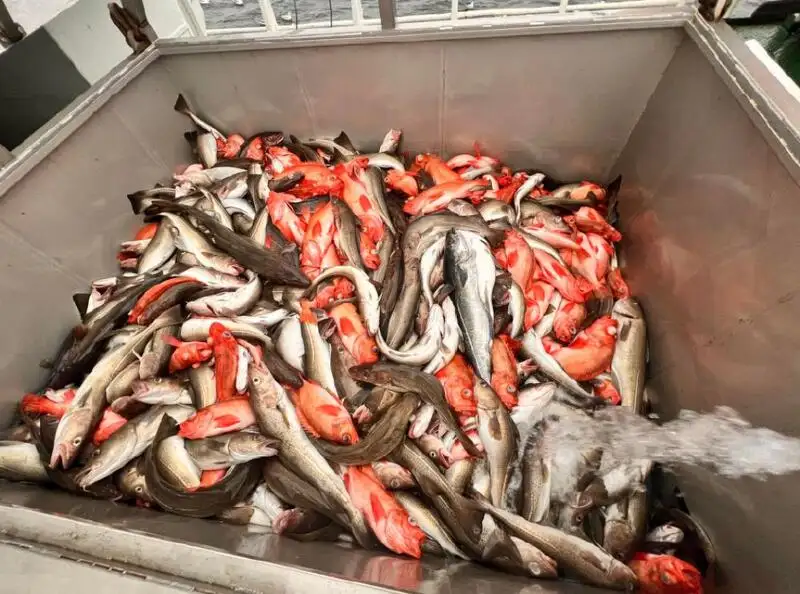 Chalutier de pêche à vendre
