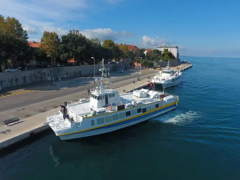Catamaran à vendre