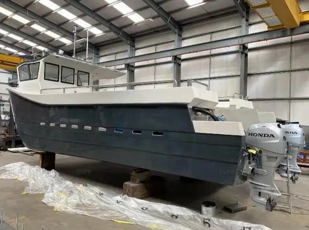 Catamaran à vendre
