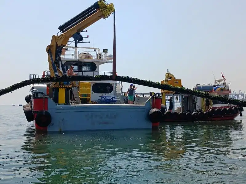Bateaux de travail à vendre