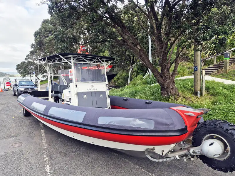 Amphibie à vendre