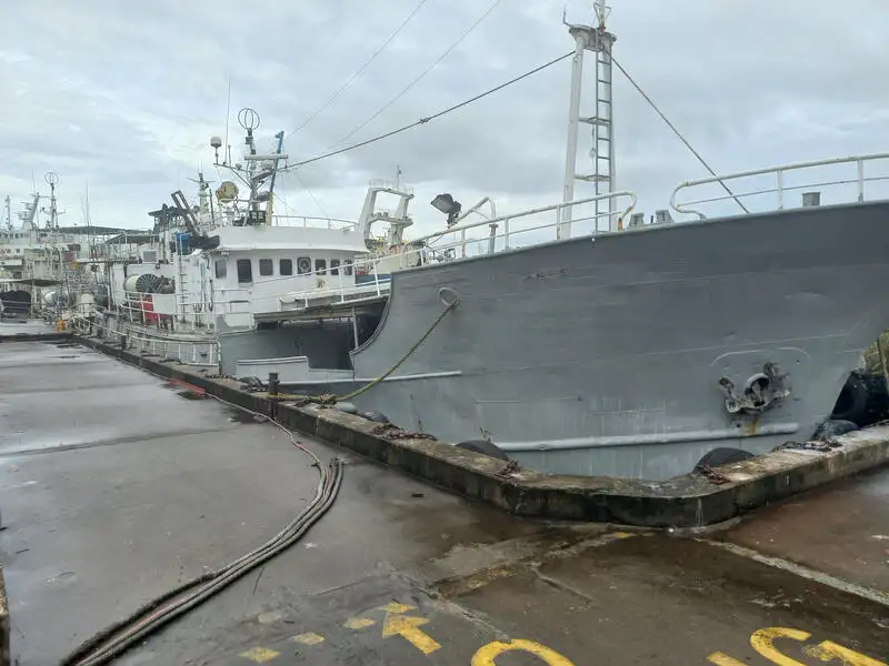 Navire palangrier à vendre