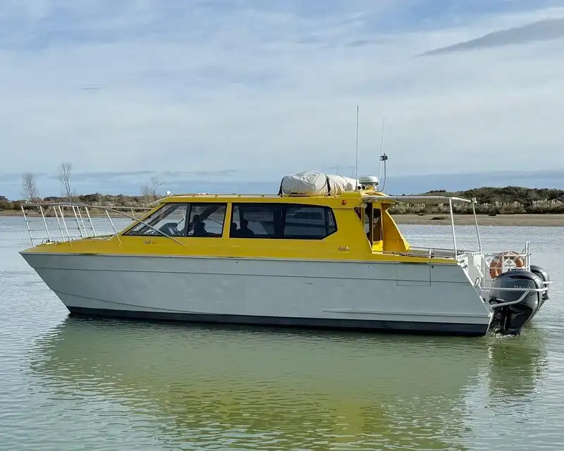 Bateau à moteur à vendre