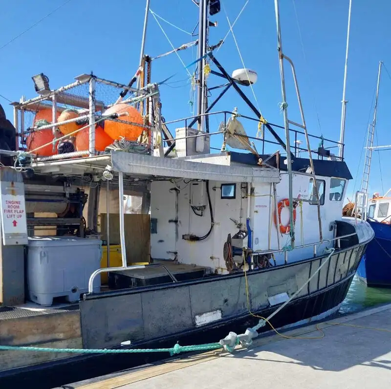 Navire palangrier à vendre