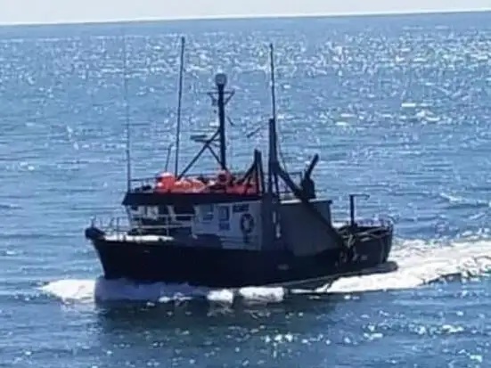 Navire palangrier à vendre