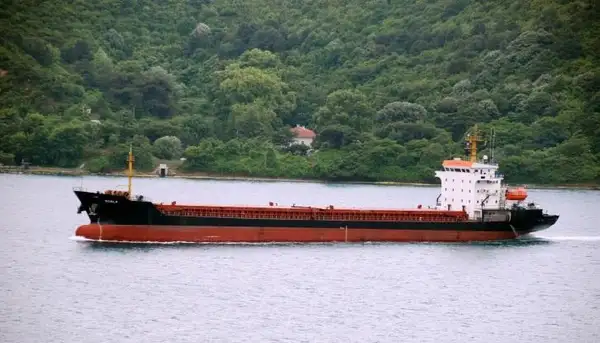 Bulk carrier for sale