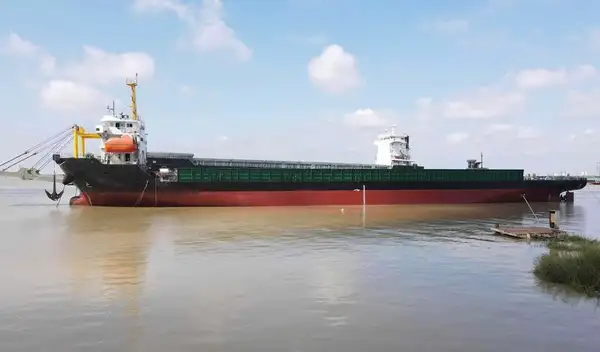 Bulk carrier for sale