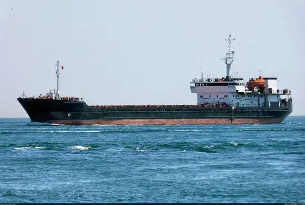 Bulk carrier for sale