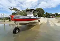 Amphibie à vendre