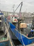 Transporteur de poissons vivants à vendre