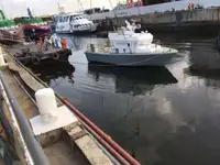 Bateau pilote à vendre