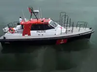 Bateau pilote à vendre