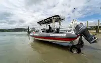 Amphibie à vendre