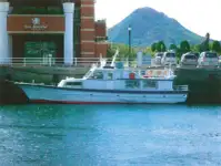 Bateau à moteur à vendre