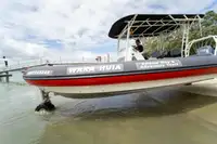 Amphibie à vendre