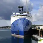 Navire d'enquête à vendre