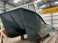 Catamaran à vendre