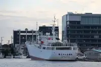 Chalutier de pêche à vendre