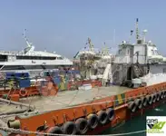 navire de parc éolien à vendre