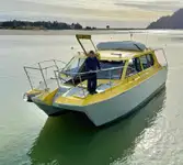 Bateau à moteur à vendre
