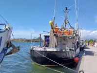 Navire palangrier à vendre
