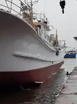Navire palangrier à vendre