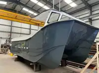 Catamaran à vendre