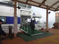 Catamaran à vendre