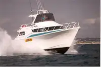 Bateaux de travail à vendre