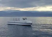 Bateau à moteur à vendre