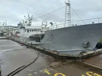 Navire palangrier à vendre