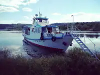 Bateau à moteur à vendre