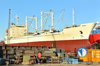 Navire frigorifique à vendre