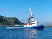 Remorqueur à vendre