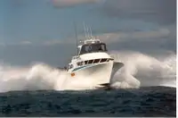 Bateaux de travail à vendre