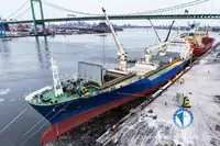 Navire frigorifique à vendre