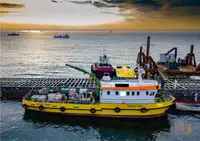 Bateaux de travail à vendre