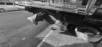Bateau pilote à vendre