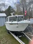 Bateaux de travail à vendre