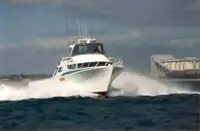 Bateaux de travail à vendre