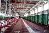 Navire RORO à vendre