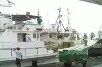 Navire palangrier à vendre